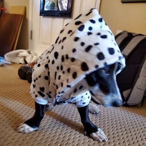 Meet your Posher, Elsa